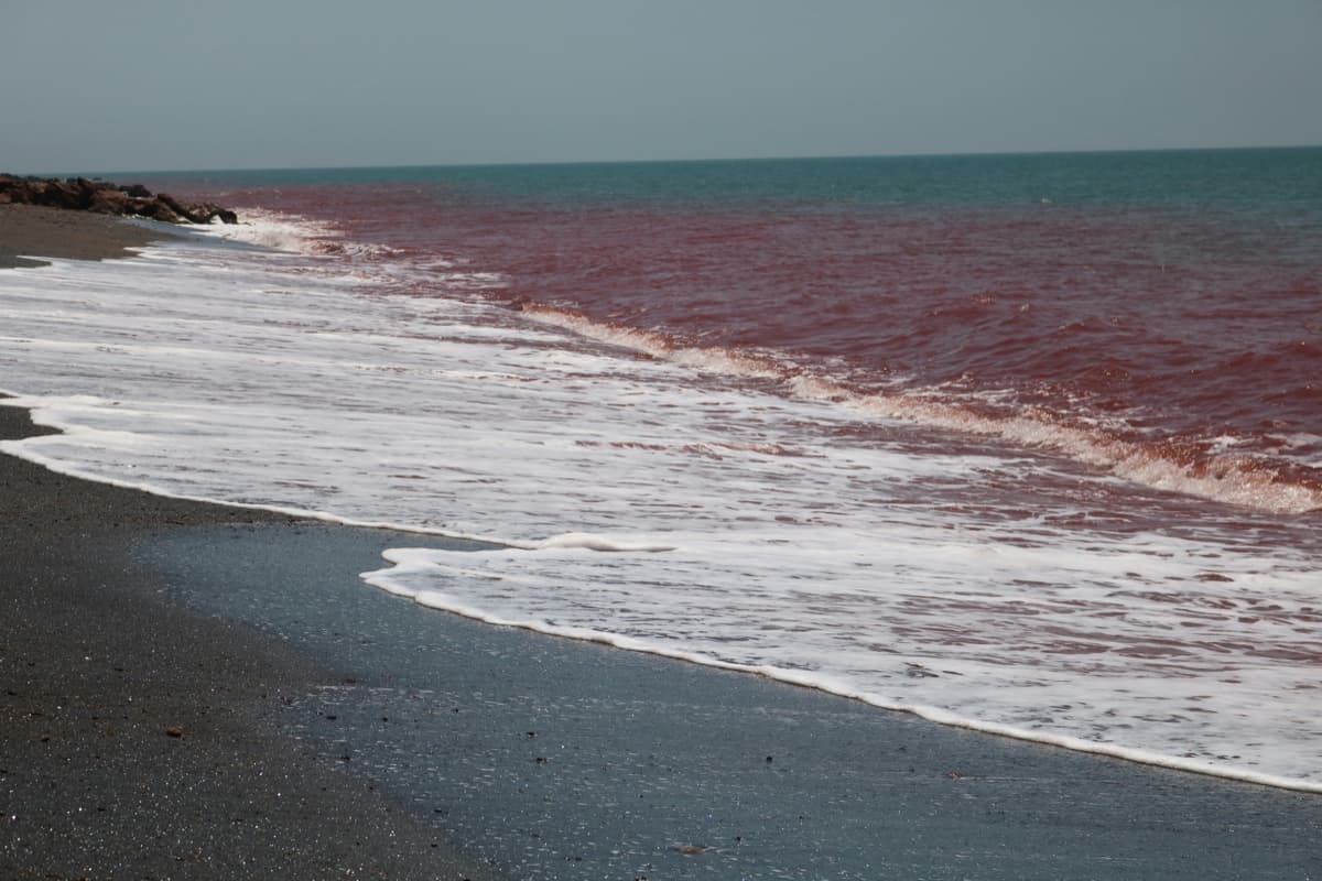 An algal bloom staining the surf red along a dark beach