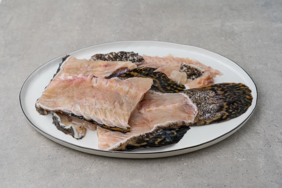 Giant Grouper bones and carcass