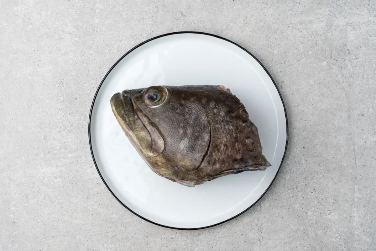 Giant Grouper head
