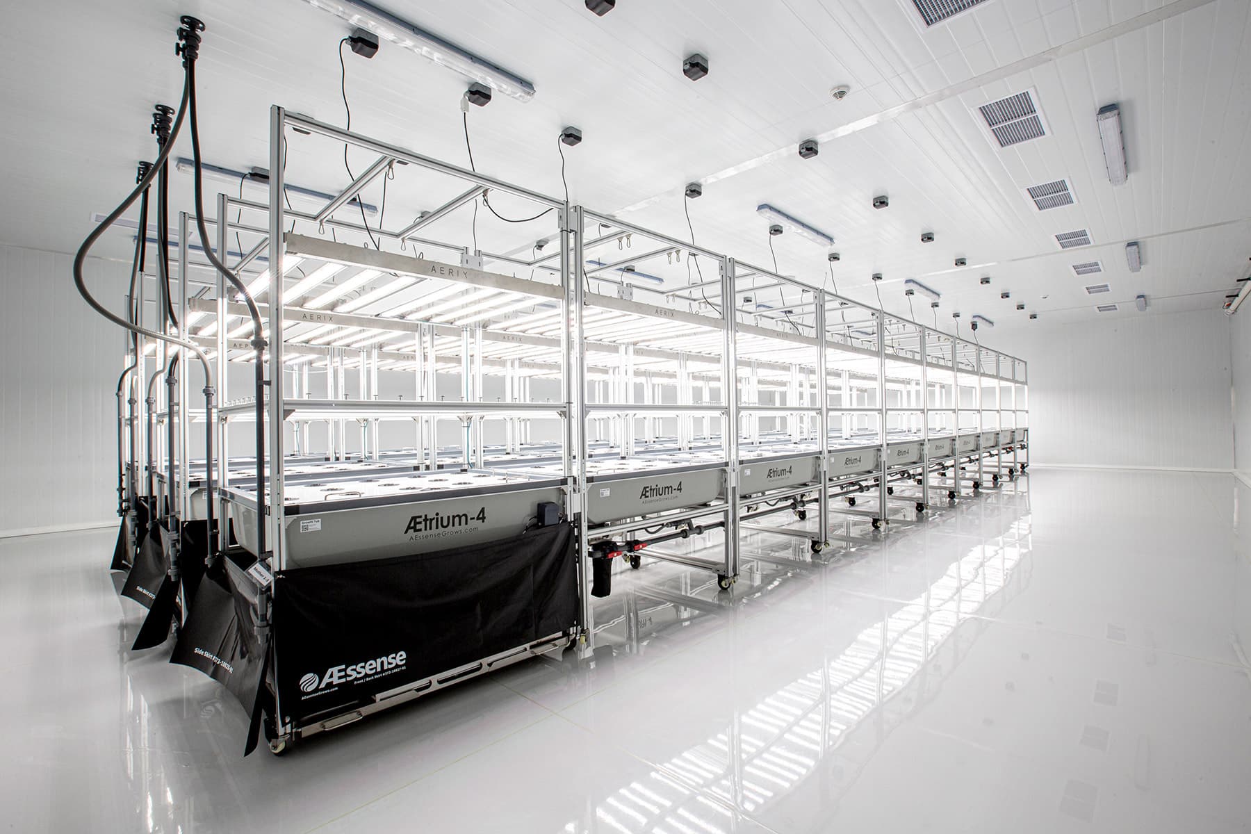 Aeroponic sea herb racks