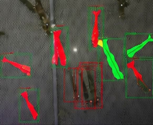 Length detection